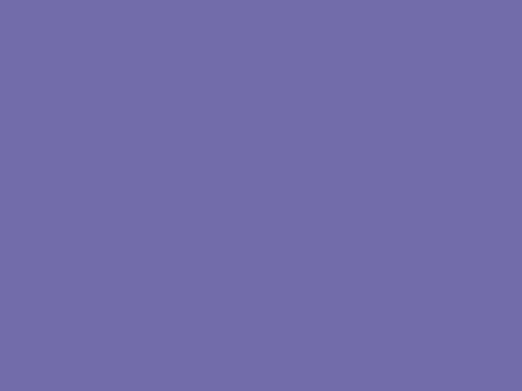 Public companies_Riskfactor_color block