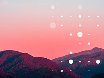Services 11 800X600