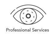  Icon Professional Services