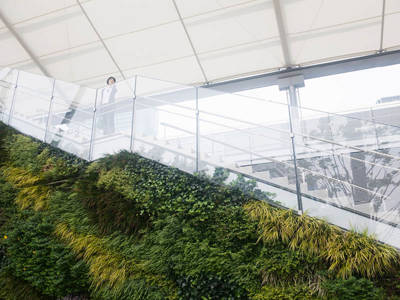 Net Zero Case Study Thumbnail