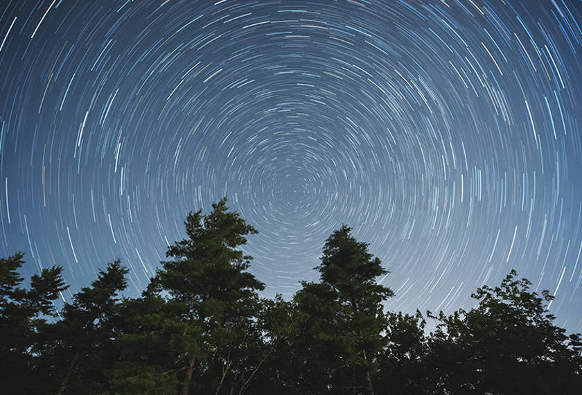 Making Sense Of The Proxy Voting Chain