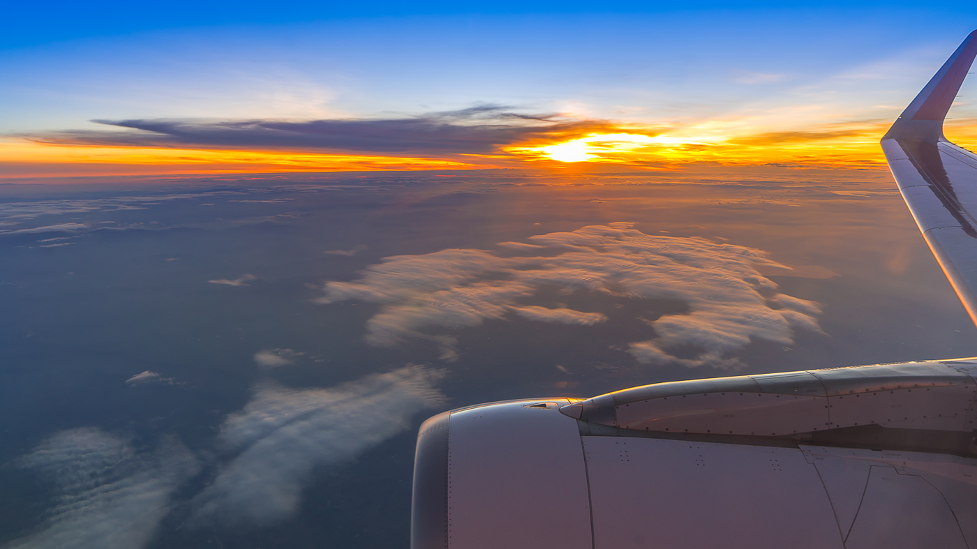 Wing (1)