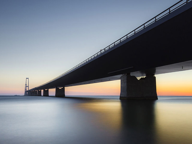 Article Title 5 - Content