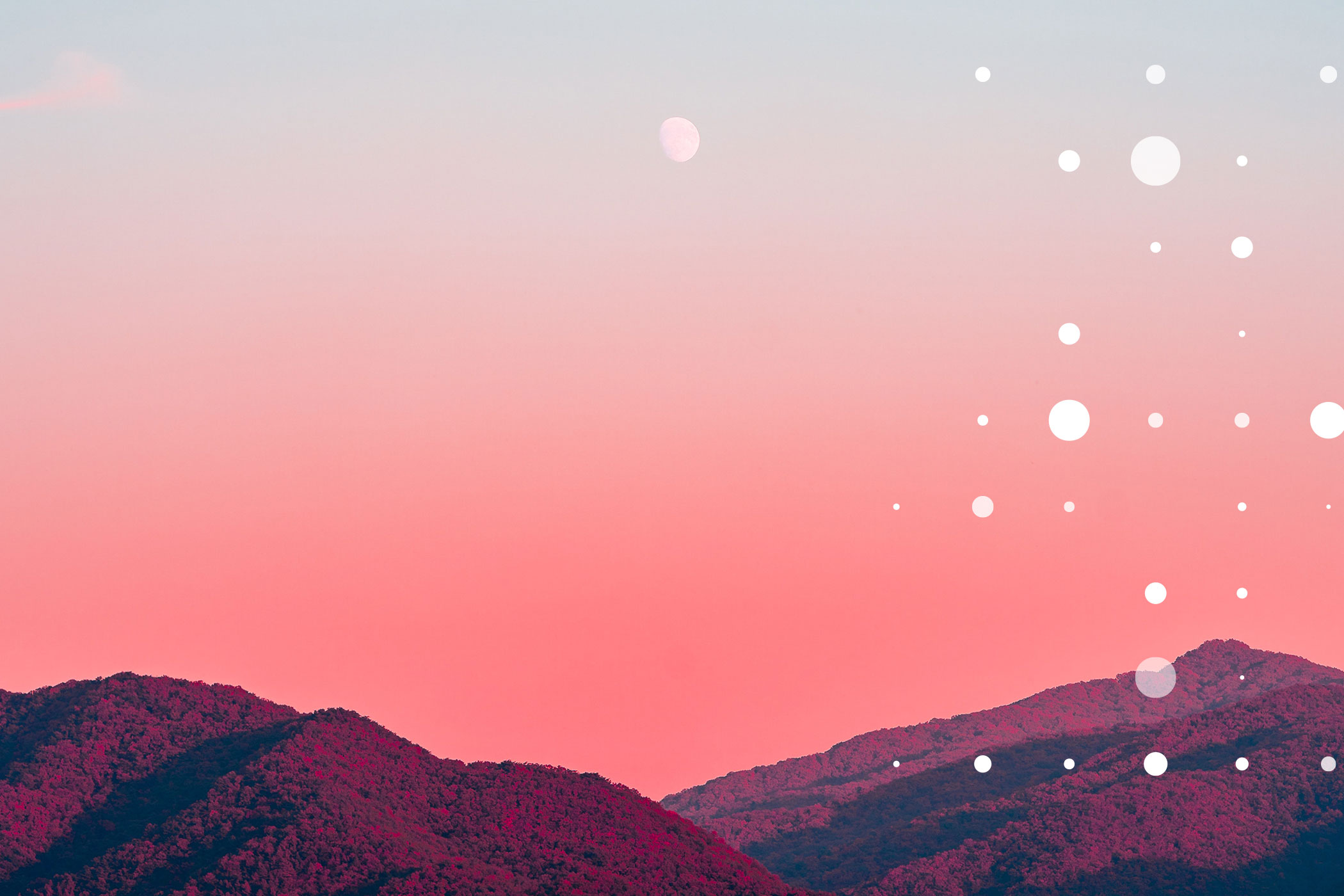 Carousel Banner Heading