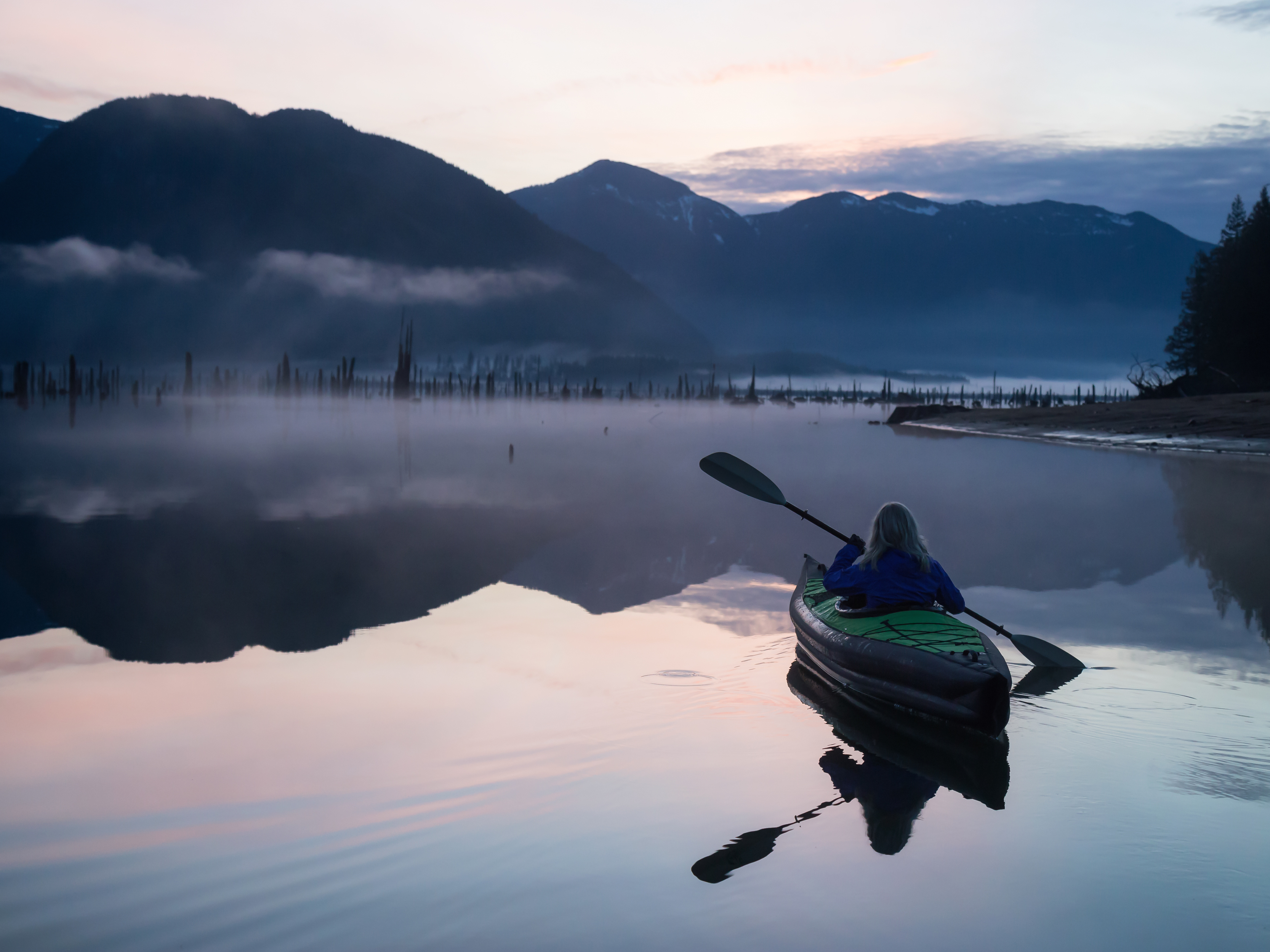 Public Sector Case Management