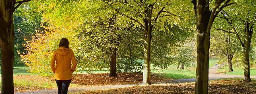 Autumn Statement 2023 EQ