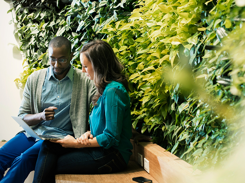 Designing Better Rectification and Remediation Programmes