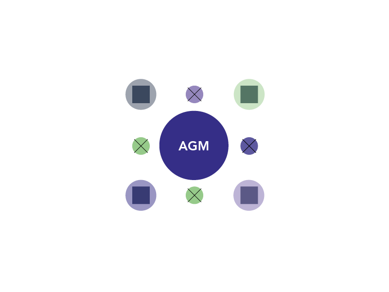 Annual General Meeting