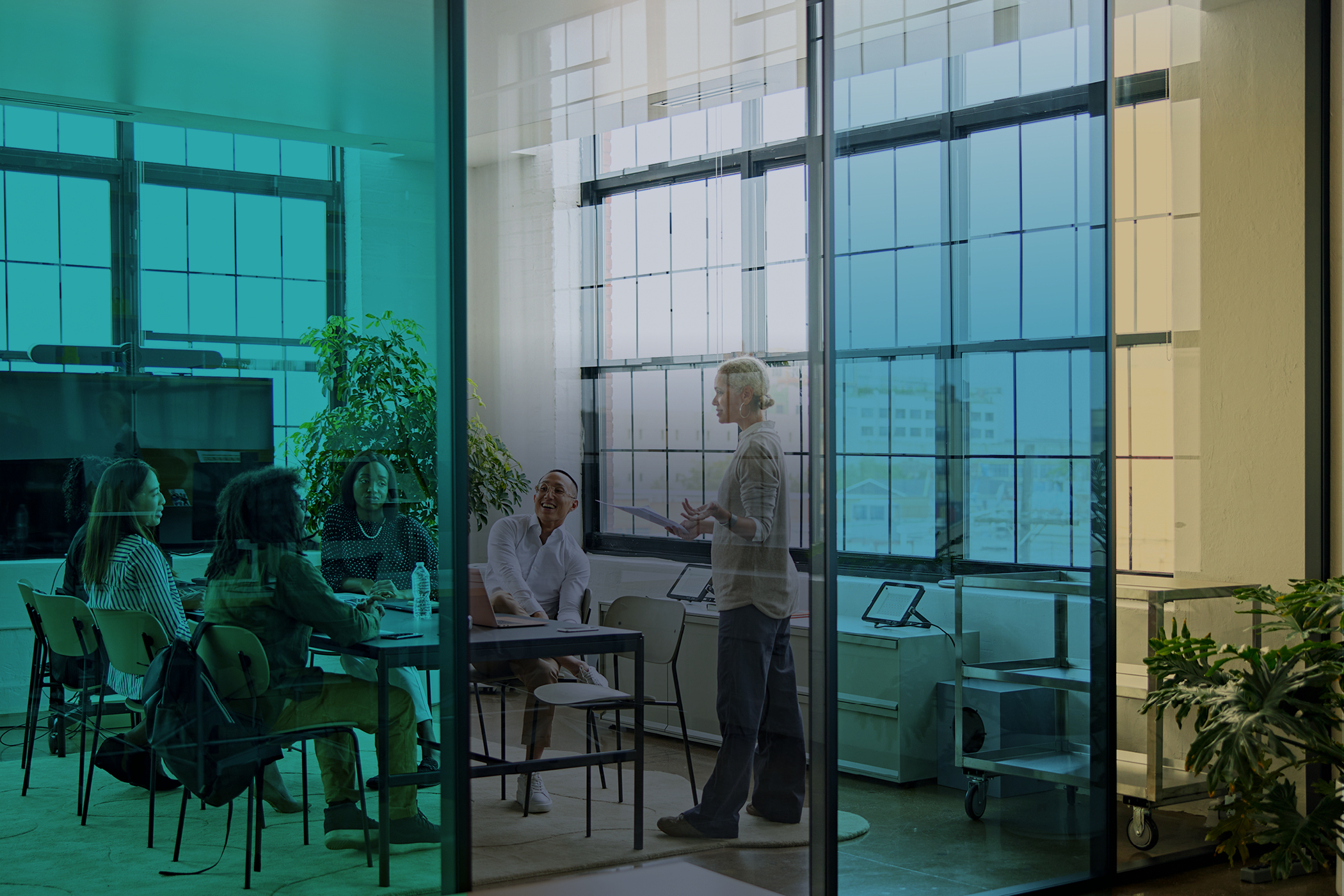 Initial Public Offering Services